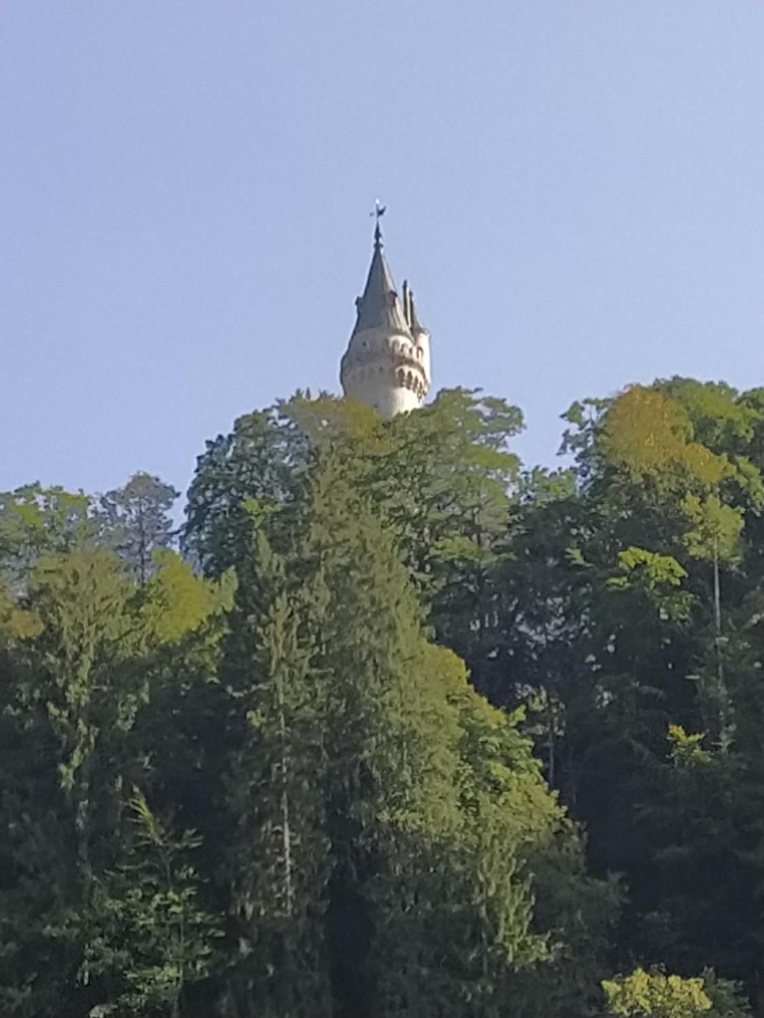Ferienwohnung Zum Bartelt Хоэншвангау Экстерьер фото